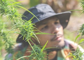 Orbit Shop: Why It’s the Go-To Destination for D.C. Cannabis Products