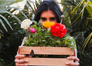 Garden City SEO: Leveraging Toowoomba’s Floral Heritage