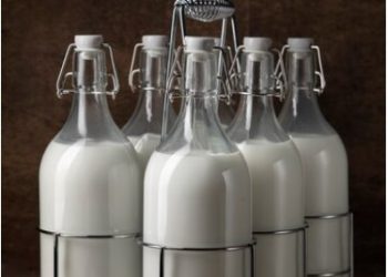 Finding the Right Milk Crate Manufacturer for Your Business