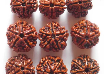 How Buying and Wearing an Original Rudraksha Can Change Your Life