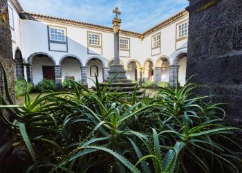 Exploring Luxury Travel in Mexico City