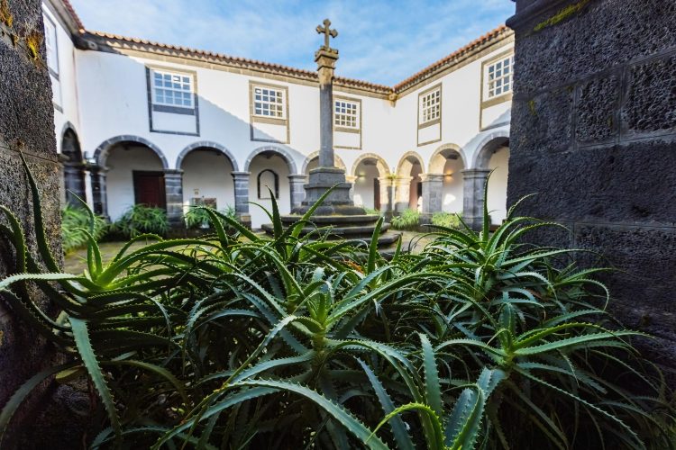 Exploring Luxury Travel in Mexico City