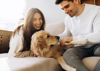 Keep the Treasure Coast Clean with Poo Bros Dog Pooper Scooper Services