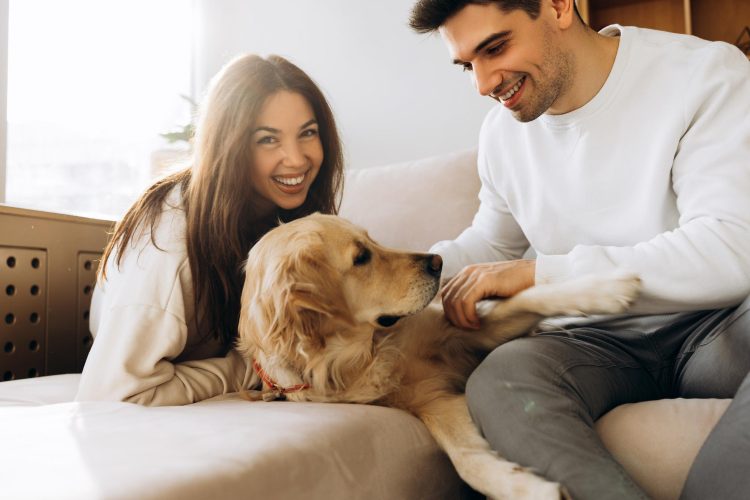 Keep the Treasure Coast Clean with Poo Bros Dog Pooper Scooper Services