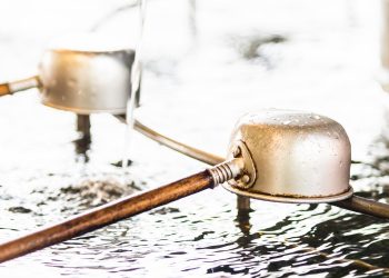 Failed Drain Field: Key Signs Your Septic System Needs Repair