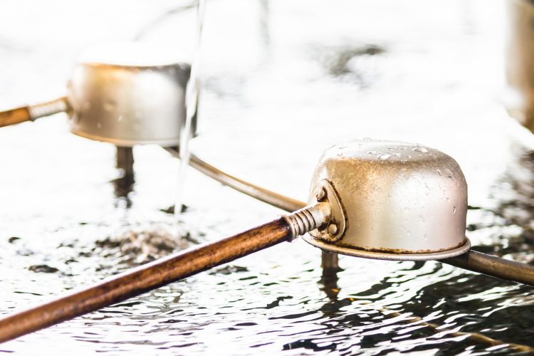 Failed Drain Field: Key Signs Your Septic System Needs Repair