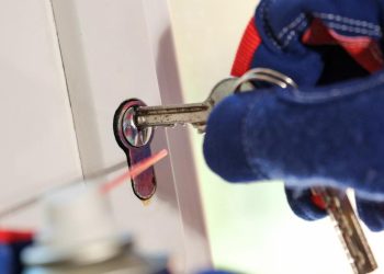 Bulldog Locksmithing: Trusted Locksmith Services for Automotive and Residential Needs Across Florida