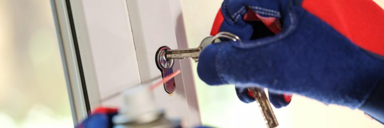 Bulldog Locksmithing: Trusted Locksmith Services for Automotive and Residential Needs Across Florida