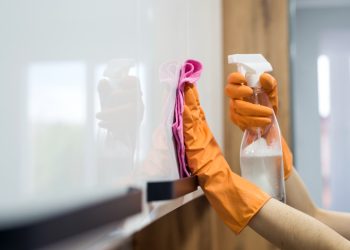 Why Choose Professional Cleaning Services for Your Home