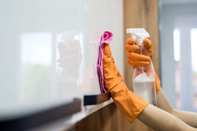 Why Choose Professional Cleaning Services for Your Home