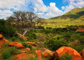 12 Nights Magical Cape Town, Kalahari & Kruger National Park