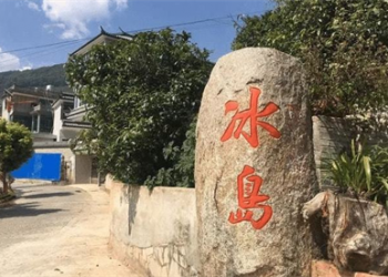 普洱茶怎样才是好