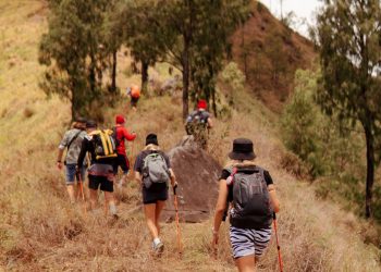 Day Trips And Excursions From Dullstroom