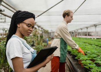 Structuring Investments in Nature: Leveraging Tech to evolve the risk-return profiles for Institutional Investors for Nature-based solutions