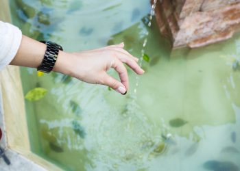 What is Aquatic Bioassay Testing?