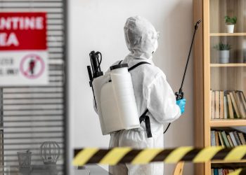 Pest control services in Marseille offer a professional, fast, and long-lasting solution