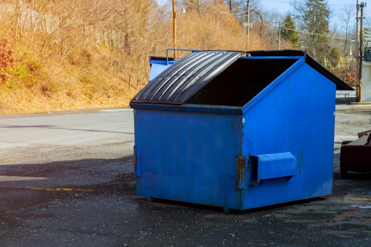 From Debris to Disposal: The Role of Demolition Bins in Construction Projects