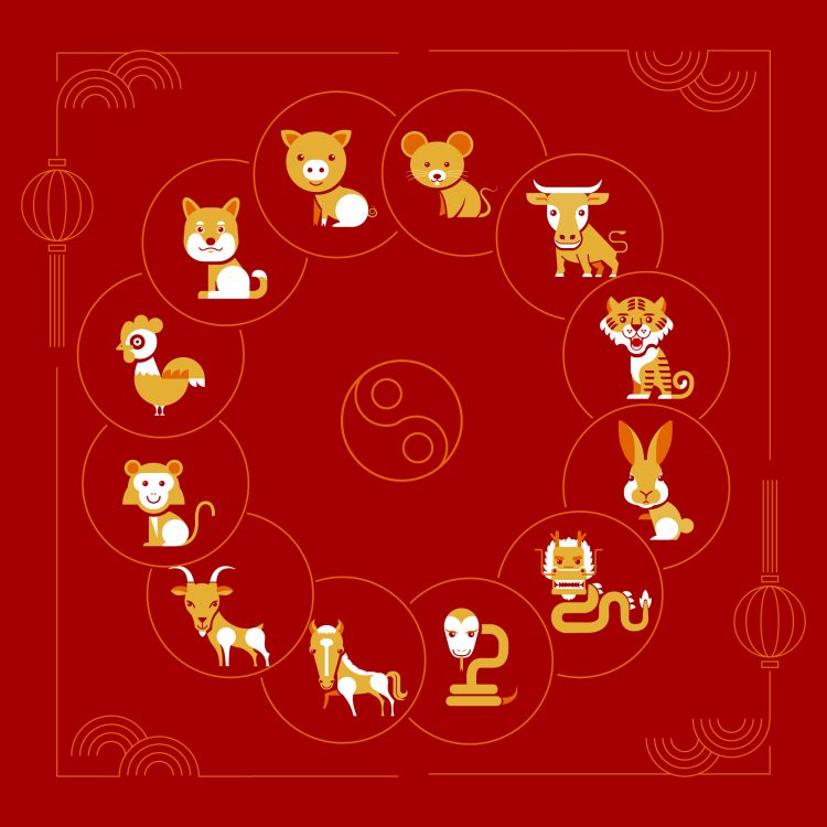 Exploring the Wonders of Chinese Zodiac Culture