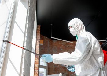 Mold Testing Culver City – Ensuring a Healthy Environment