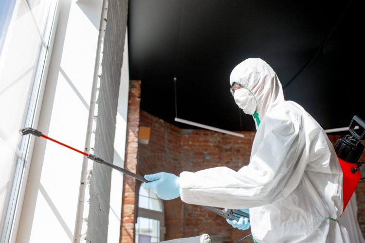 Mold Testing Culver City – Ensuring a Healthy Environment