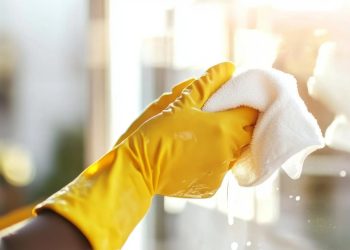 Expert Cleaning Services for Carpets, Upholstery, and Mattresses in Melbourne