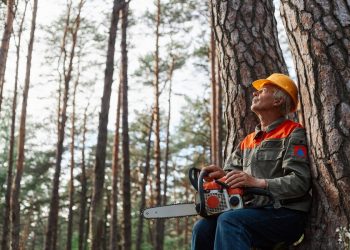 How Much Does Tree Removal Cost in Eugene, Oregon?