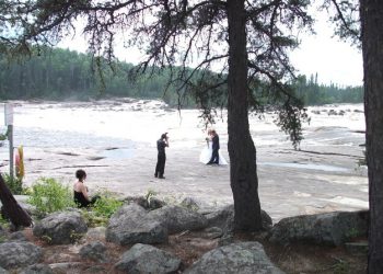 Why Redwood Forest Wedding Venues Are a Dream Come True