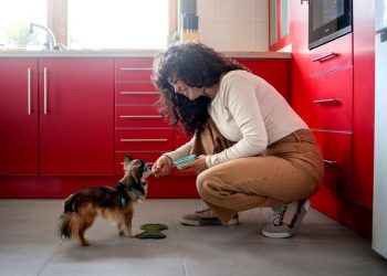 Paws and Principles: How Premium Cat Treat Companies Source Materials Sustainably