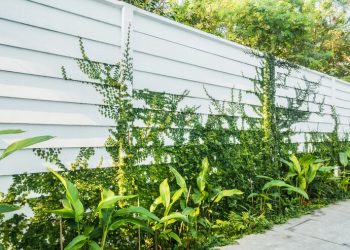 Fence Trends for 2025: Innovation Meets Style