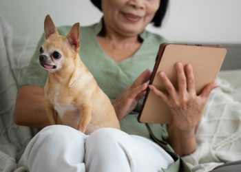 The Benefits of Mobile Dog Grooming for Anxious and Senior Dogs