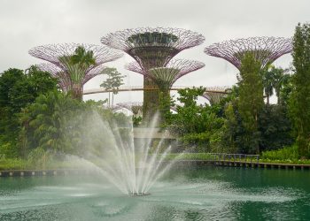 Discover Your Next Adventure: Why Booking a Flight to Singapore is the Perfect Escape