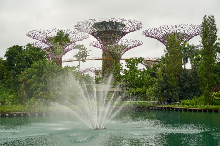 Discover Your Next Adventure: Why Booking a Flight to Singapore is the Perfect Escape