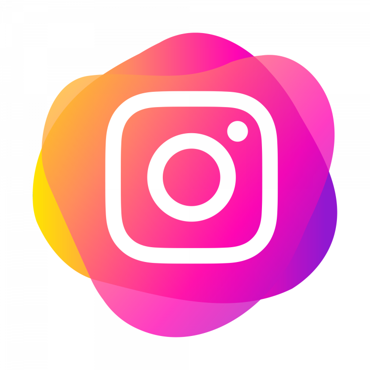 Instagram Algorithm and How to Save Videos with an Instagram Downloader