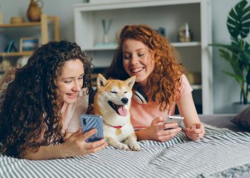 How Often Should Pet Waste Removal Be Done for a Cleaner Yard?