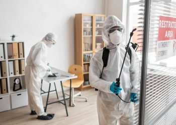 The Importance of Effective Mold Removal in Brooklyn