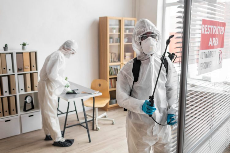 The Importance of Effective Mold Removal in Brooklyn