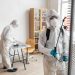 The Importance of Effective Mold Removal in Brooklyn