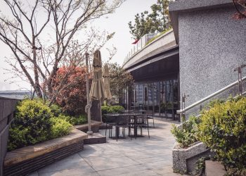 Are Aluminum Patio Doors a Good Choice for Your Home?