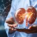 Alcohol and Your Kidneys: Can drinking excessive alcohol cause kidney disease?
