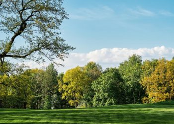 What Are the Secret Techniques Lawn Service in Cullman County, AL Uses for a Perfect Yard