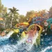 Discover the Wonders of SplashMania Waterpark in Gamuda Cove