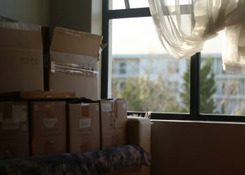 Understanding the Moving Process: Tips and Insights for a Smooth Relocation