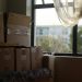 Understanding the Moving Process: Tips and Insights for a Smooth Relocation