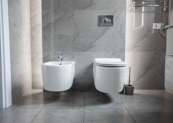 Is a Bidet Toilet Sprayer Safe During Pregnancy?