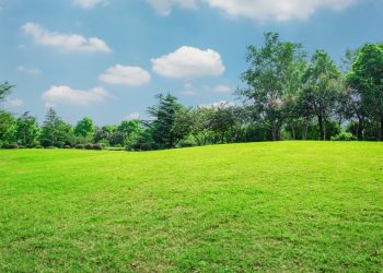 Why Hiring a Professional Lawn Mowing Service Saves You Time and Money