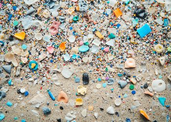 Microplastics: Could They Be Fueling the Obesity Epidemic?