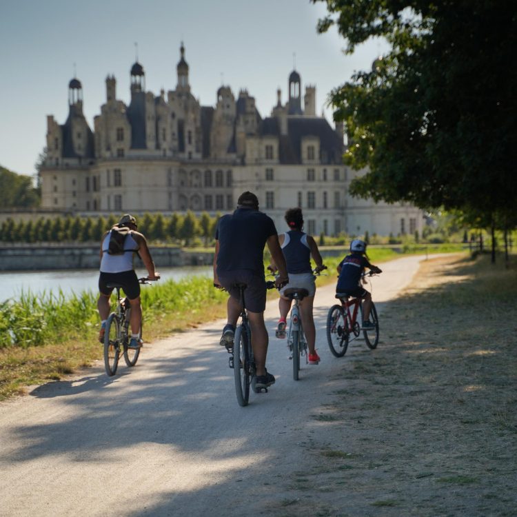 Gravel Biking in Vienna: Discover the Best Trails and Rentals in Austria’s Capital