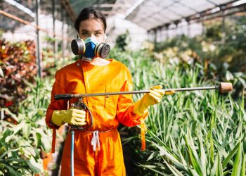 Top 5 Affordable Preventative Pest Control Tips That Can Save You Big Bucks