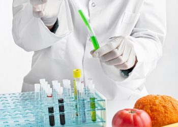 Integrity Roof Services Expands Professional Roofing Service Area to Daytona Beach, Florida