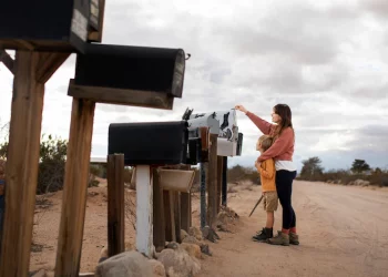 Everything You Need to Know About Gas Struts